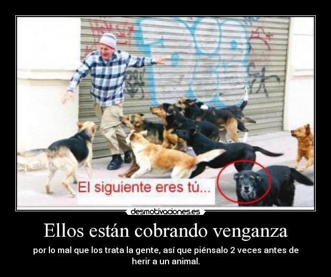 Ellos están cobrando venganza - por lo mal que los trata la gente, así que piénsalo 2 veces antes de herir a un animal.