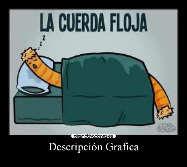 Descripción Grafica -