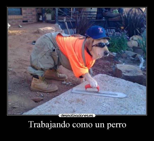 carteles gil alvarado desmotivaciones