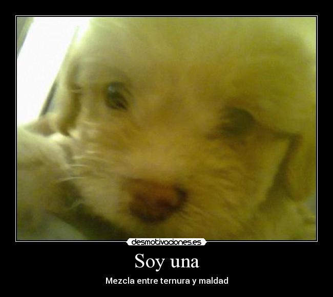 Soy una - Mezcla entre ternura y maldad