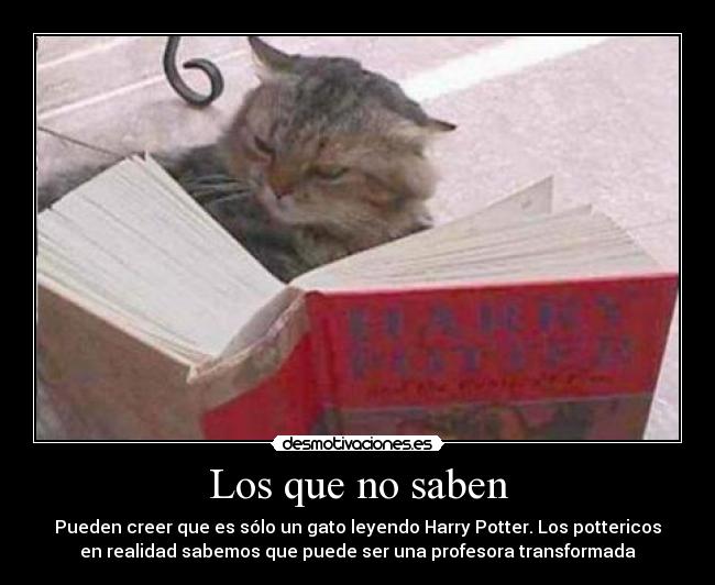 Los que no saben - Pueden creer que es sólo un gato leyendo Harry Potter. Los pottericos
en realidad sabemos que puede ser una profesora transformada