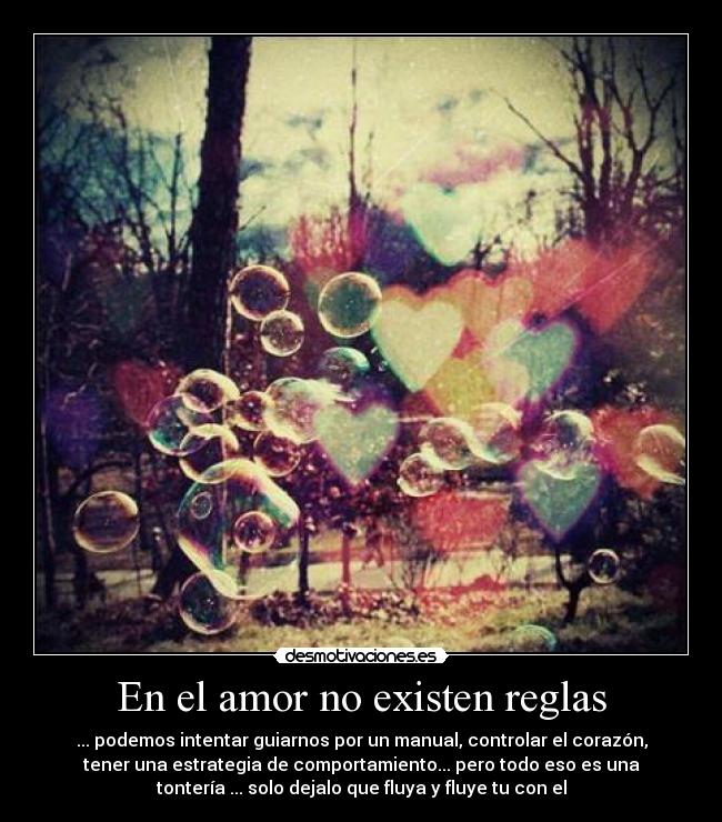 En el amor no existen reglas - ... podemos intentar guiarnos por un manual, controlar el corazón,
tener una estrategia de comportamiento... pero todo eso es una
tontería ... solo dejalo que fluya y fluye tu con el