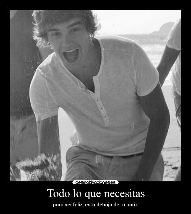 Todo lo que necesitas - 