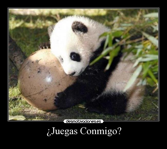 ¿Juegas Conmigo? - 