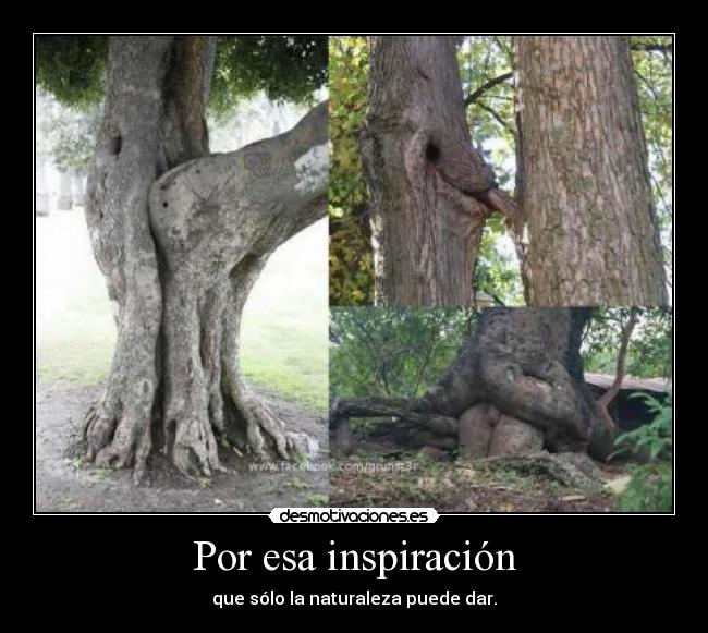 Por esa inspiración - que sólo la naturaleza puede dar.