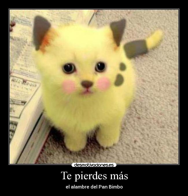 Te pierdes más - el alambre del Pan Bimbo