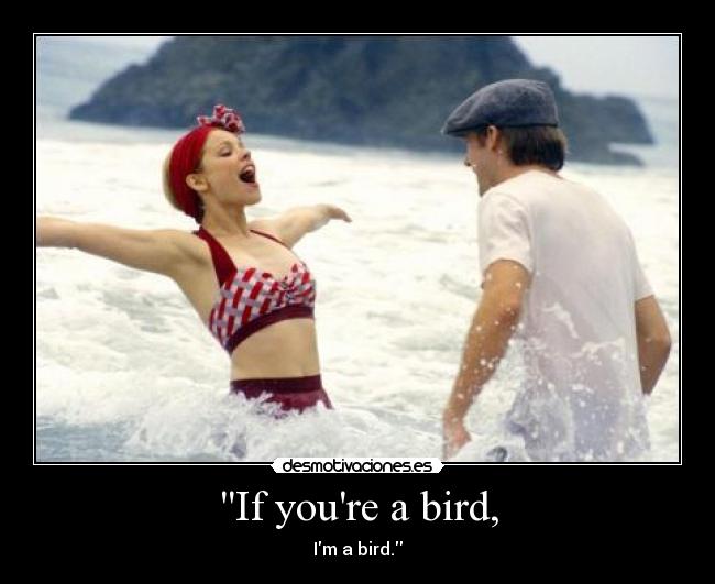 If youre a bird, - Im a bird.