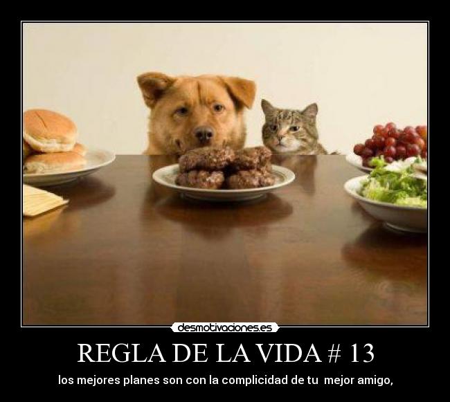 REGLA DE LA VIDA # 13 - los mejores planes son con la complicidad de tu mejor amigo,