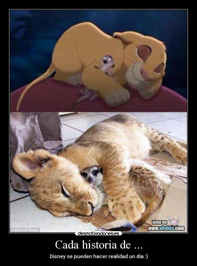 Cada historia de ... -