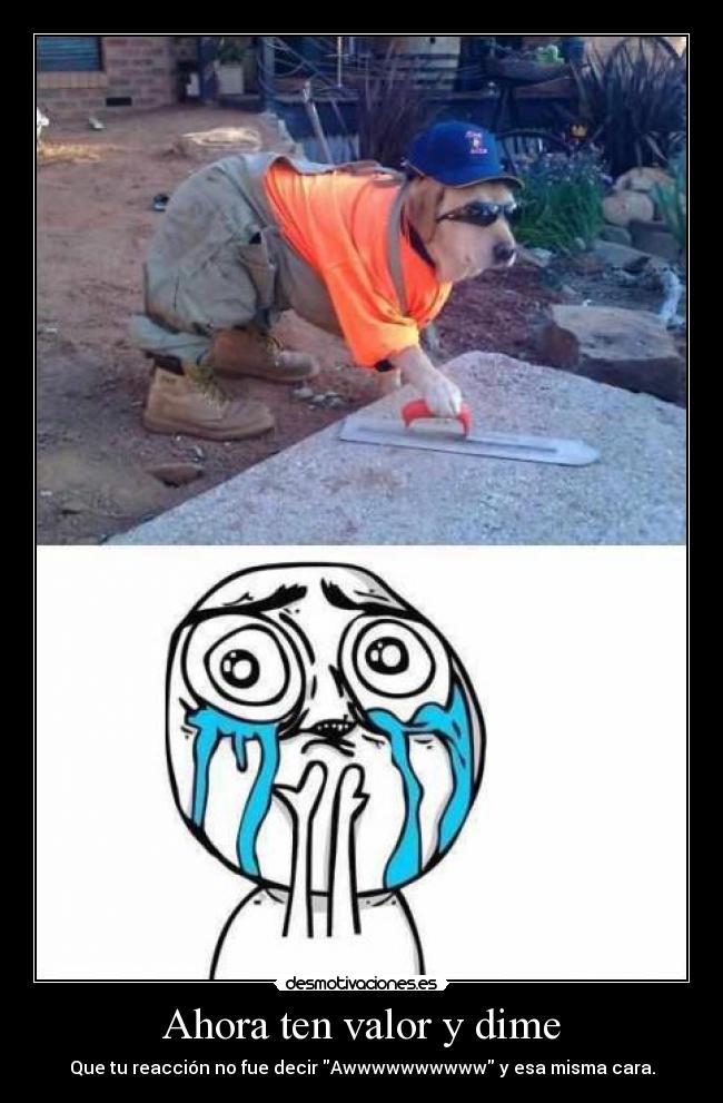 Ahora ten valor y dime - Que tu reacción no fue decir Awwwwwwwwww y esa misma cara.