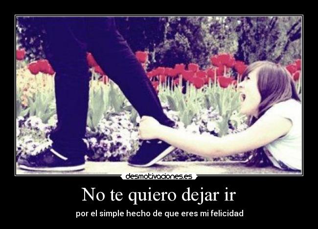 No te quiero dejar ir - 