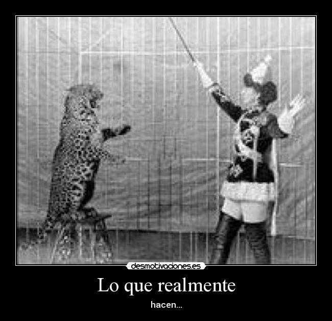 Lo que realmente - hacen...