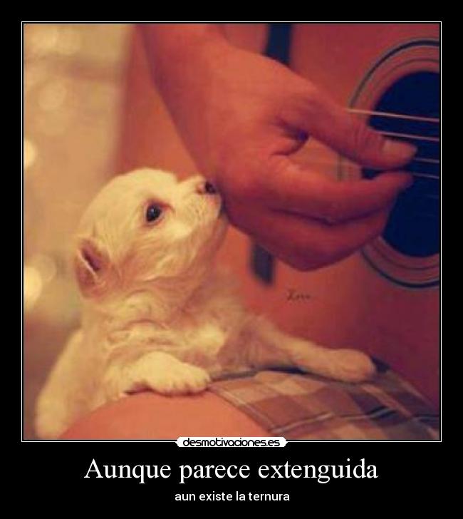 Aunque parece extenguida - aun existe la ternura