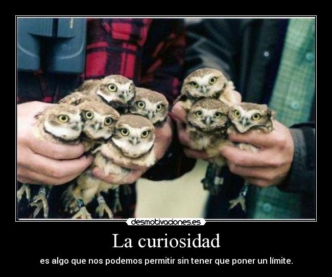 La curiosidad - 