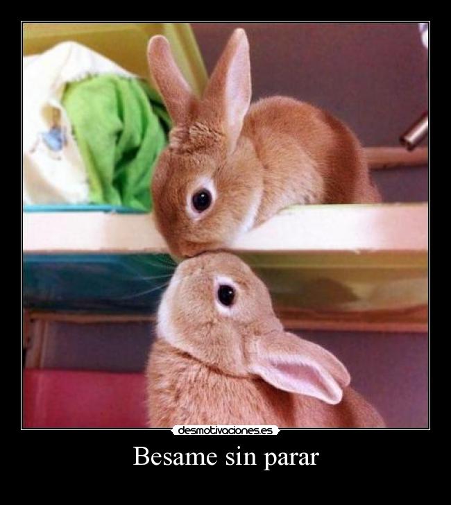 Besame sin parar -