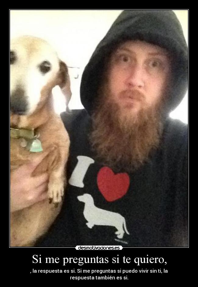 Si me preguntas si te quiero, -