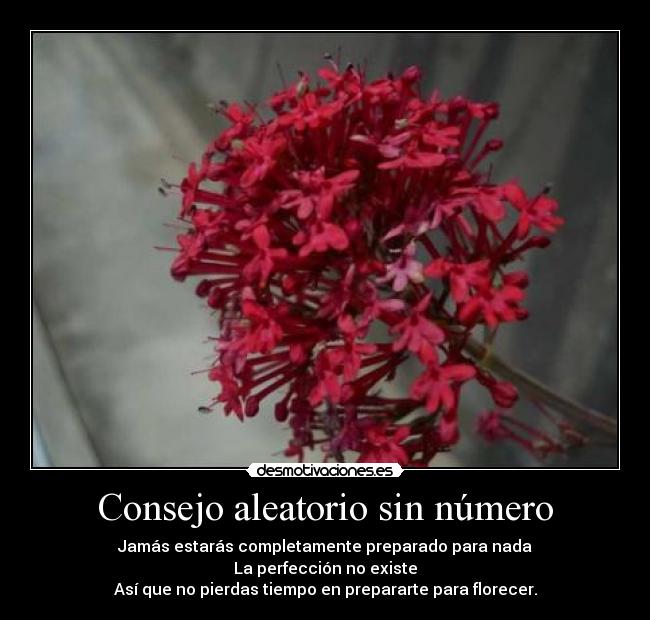 Consejo aleatorio sin número - 