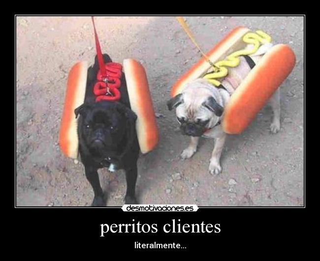 perritos clientes - 