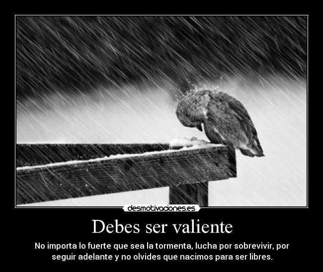 Debes ser valiente - No importa lo fuerte que sea la tormenta, lucha por sobrevivir, por
seguir adelante y no olvides que nacimos para ser libres.
