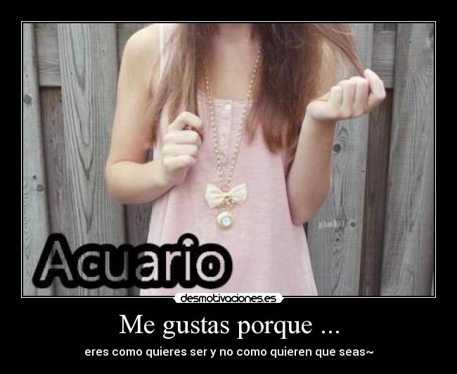 carteles acuario desmotivaciones