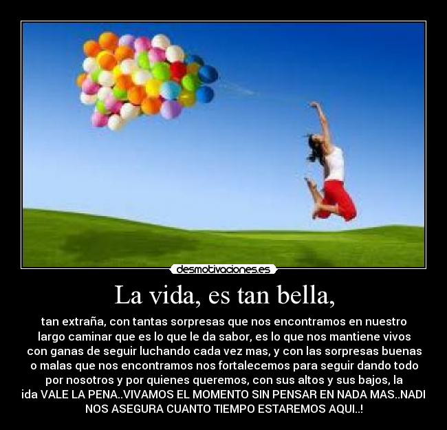 carteles vida verdad desmotivaciones