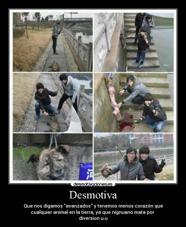 carteles mates animales proximo muerto podrias ser manos otro animal como desmotivaciones