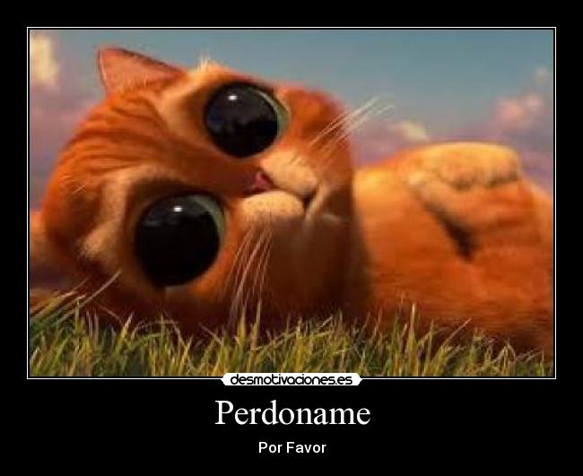 Perdoname -