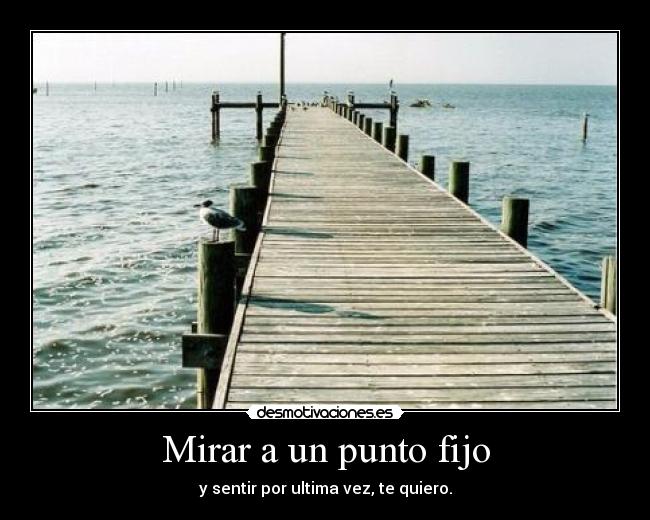 carteles quiero desmotivaciones