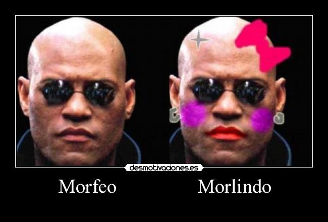 Morfeo                Morlindo - 