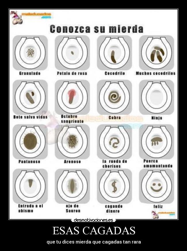 ESAS CAGADAS - que tu dices mierda que cagadas tan rara