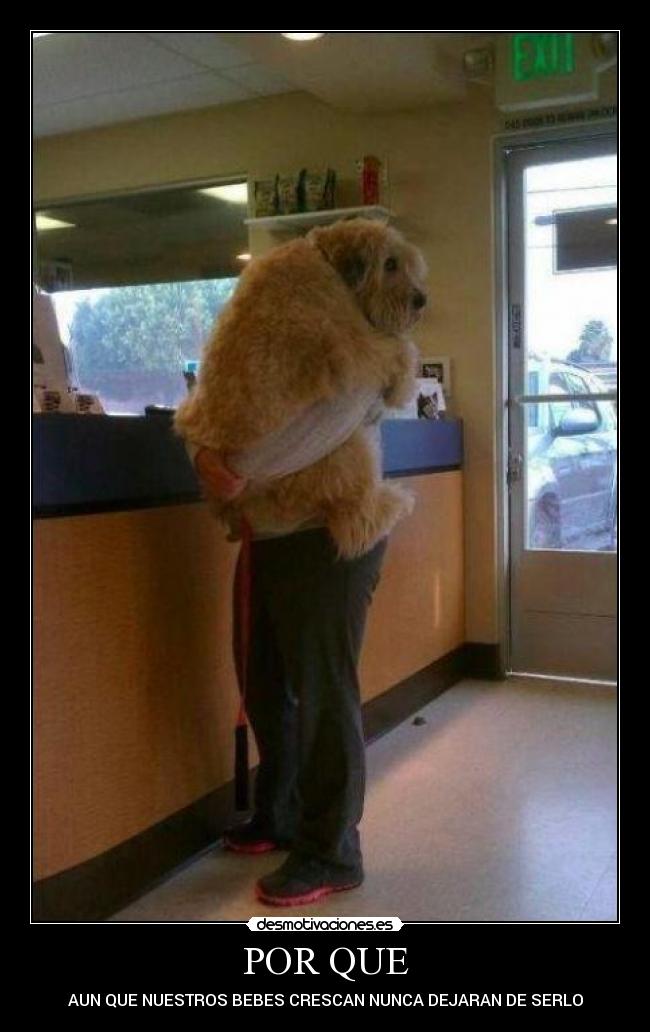 POR QUE - AUN QUE NUESTROS BEBES CRESCAN NUNCA DEJARAN DE SERLO