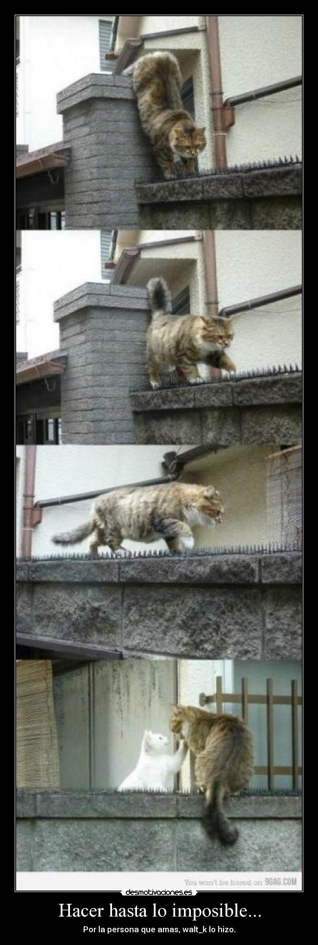 carteles imposible hacer asta imposible desmotivaciones