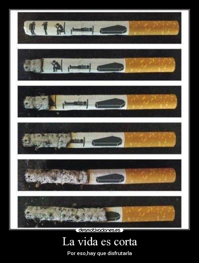 La vida es corta -