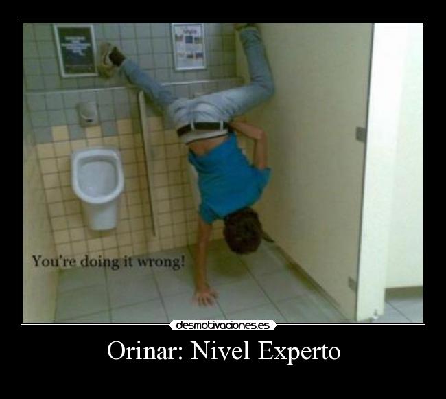 Orinar: Nivel Experto - 