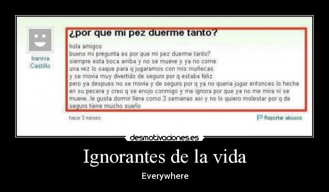 Ignorantes de la vida - Everywhere