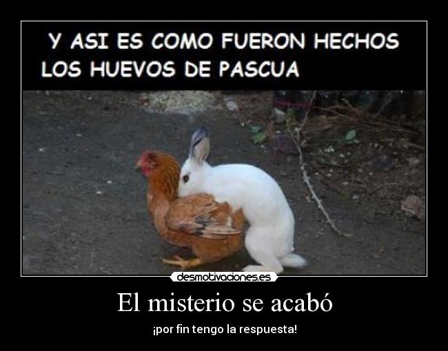 El misterio se acabó - ¡por fin tengo la respuesta!