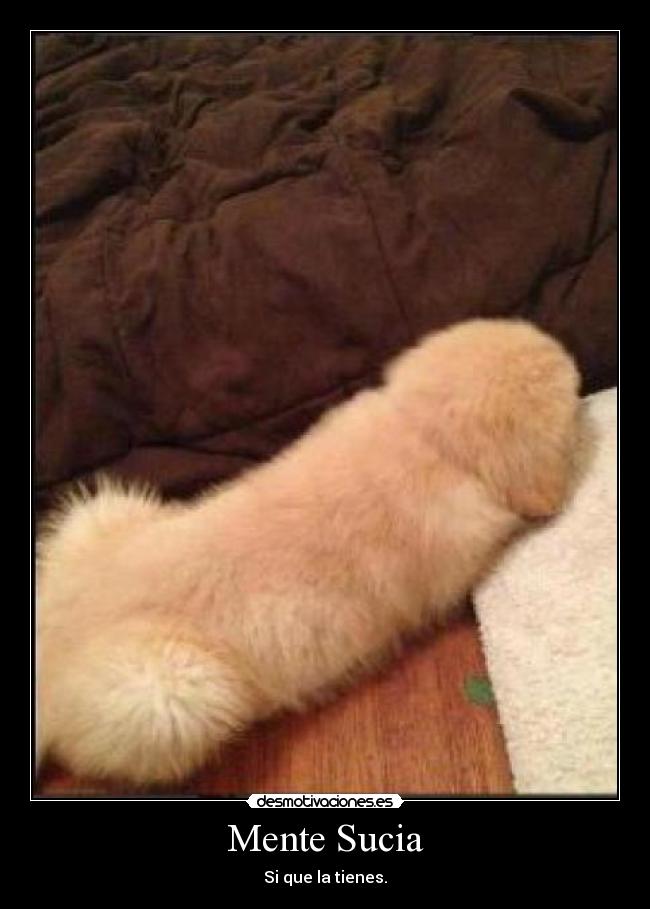 Mente Sucia - Si que la tienes.