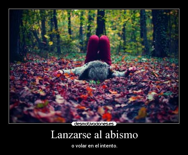 Lanzarse al abismo - o volar en el intento.