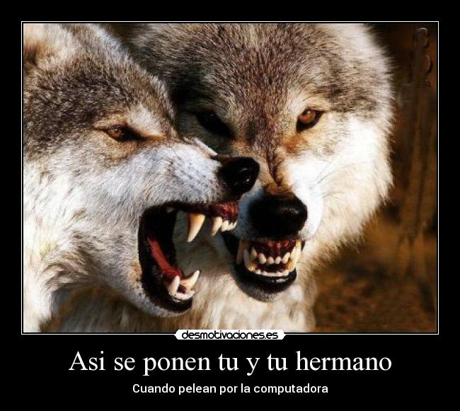 carteles asdadsdsa desmotivaciones