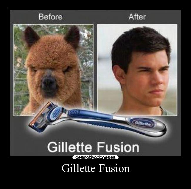 Gillette Fusion -