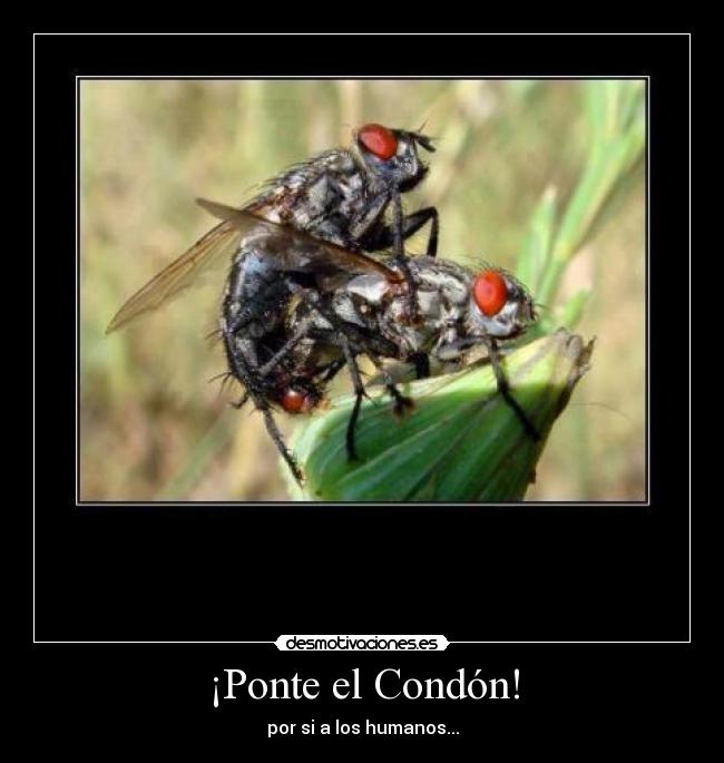 ¡Ponte el Condón! - 