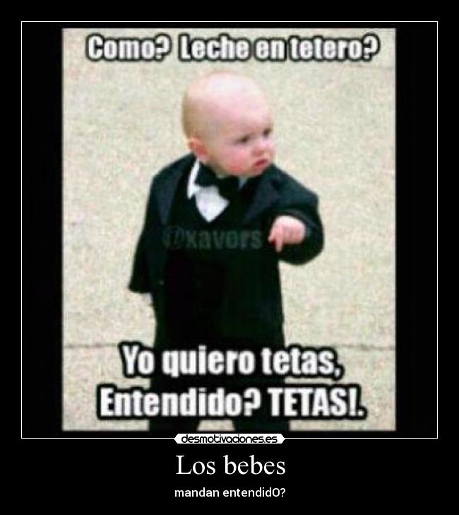 Los bebes -
