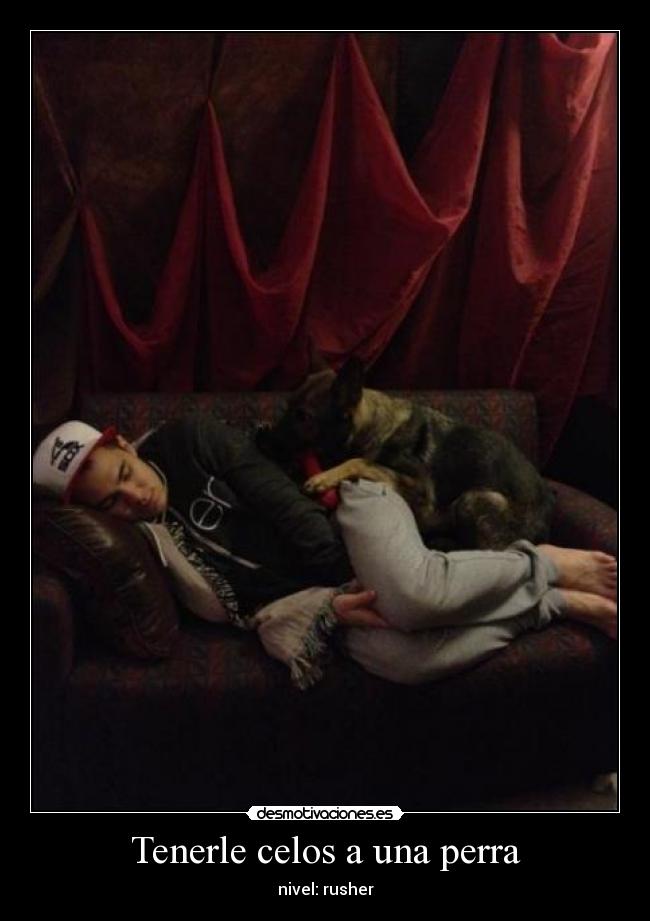 carteles celos carlos sydney desmotivaciones