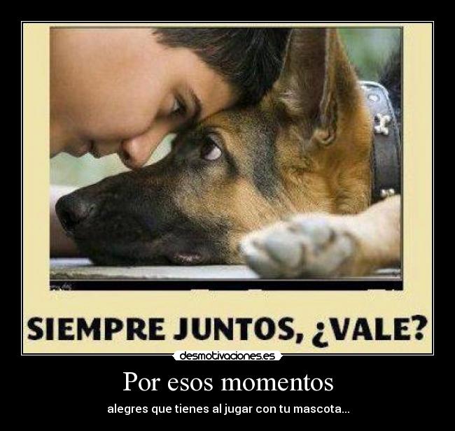 carteles aunque diga quete quiere casi siempre demuestra desmotivaciones