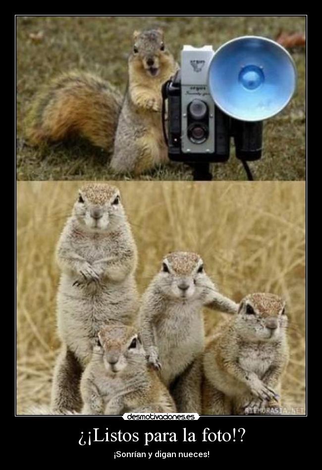 ¿¡Listos para la foto!? - ¡Sonrían y digan nueces!