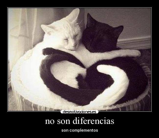 no son diferencias -