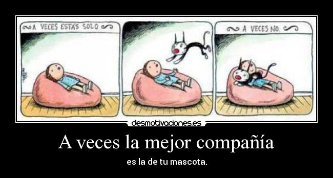 A veces la mejor compañía - es la de tu mascota.