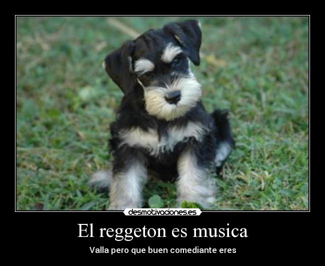 El reggeton es musica -