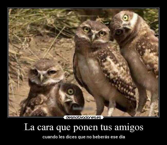 La cara que ponen tus amigos - 