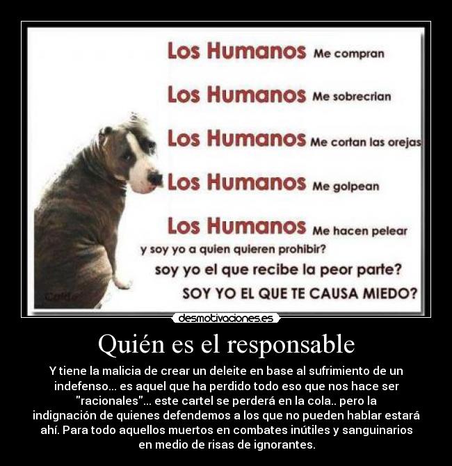 Quién es el responsable - Y tiene la malicia de crear un deleite en base al sufrimiento de un
indefenso... es aquel que ha perdido todo eso que nos hace ser
racionales... este cartel se perderá en la cola.. pero la
indignación de quienes defendemos a los que no pueden hablar estará
ahí. Para todo aquellos muertos en combates inútiles y sanguinarios
en medio de risas de ignorantes.